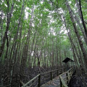 Screenshot 2021-09-08 002627