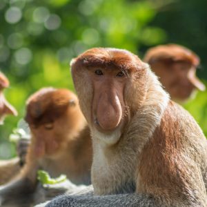 andre-mouton-kgDYCJe_bZo-unsplash